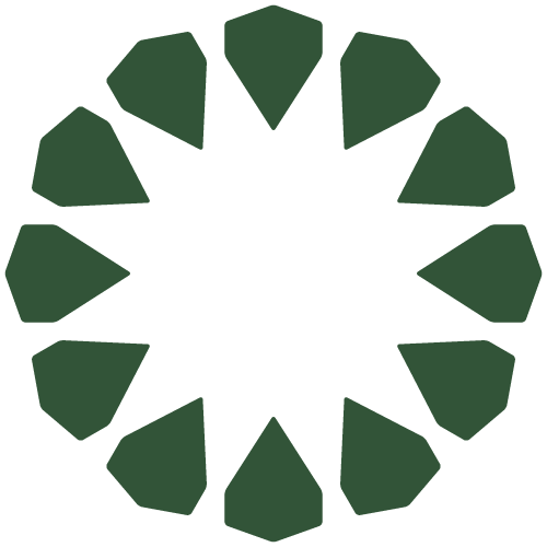 Mustafavy Holdings Logo